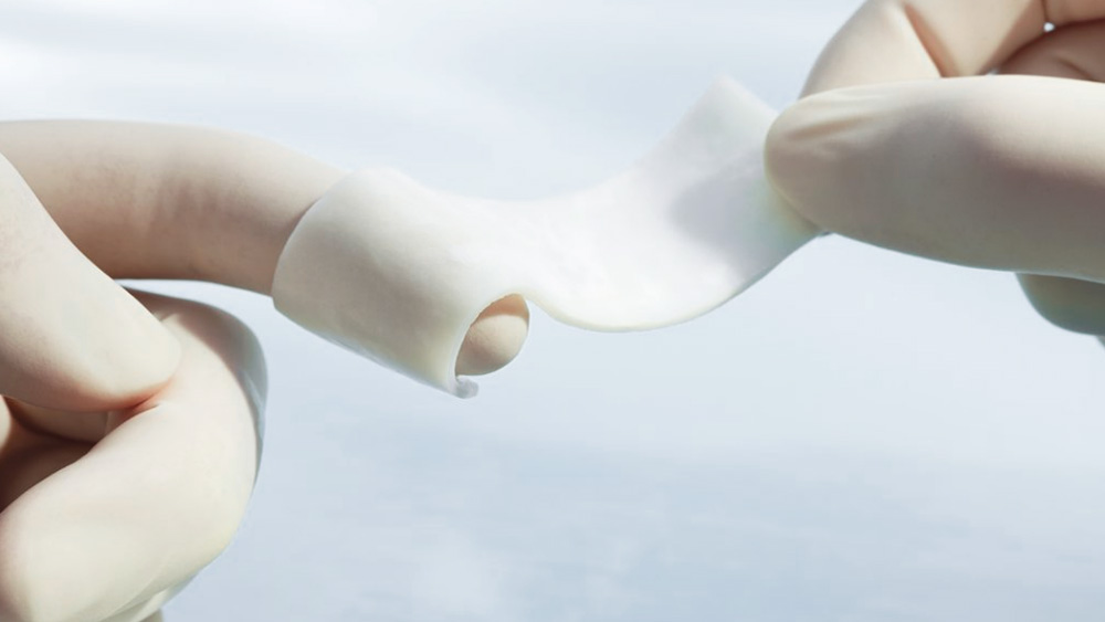Hands of a medical worker holding a piece of dura substitution material