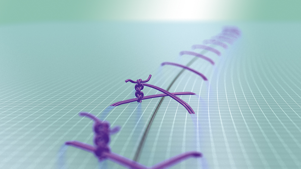 Surgical knots in a line on an exercise model